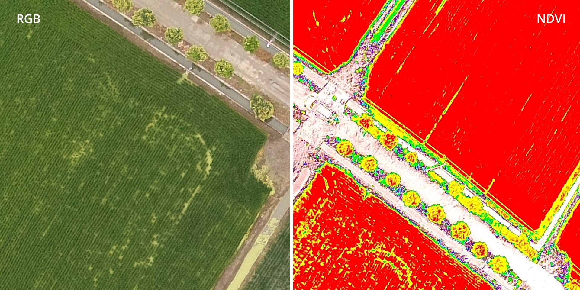 field-mapping